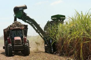 Vicepresidente Halleslevens destaca importancia de industria azucarera