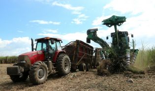 Vicepresidente Halleslevens destaca importancia de industria azucarera