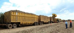 Vicepresidente Halleslevens destaca importancia de industria azucarera