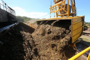 Vicepresidente Halleslevens destaca importancia de industria azucarera