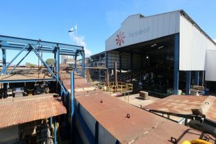 Vicepresidente Halleslevens destaca importancia de industria azucarera