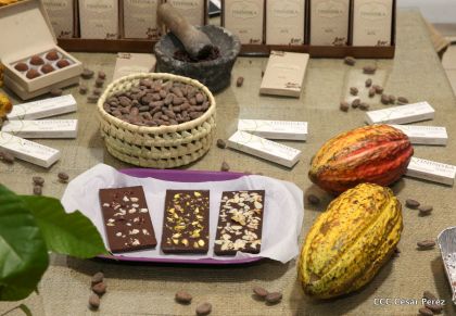 Nicaragua Emprende inicia tres días de creatividad e innovación