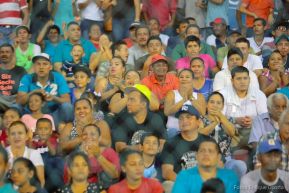 Campeonato de Béisbol Germán Pomares