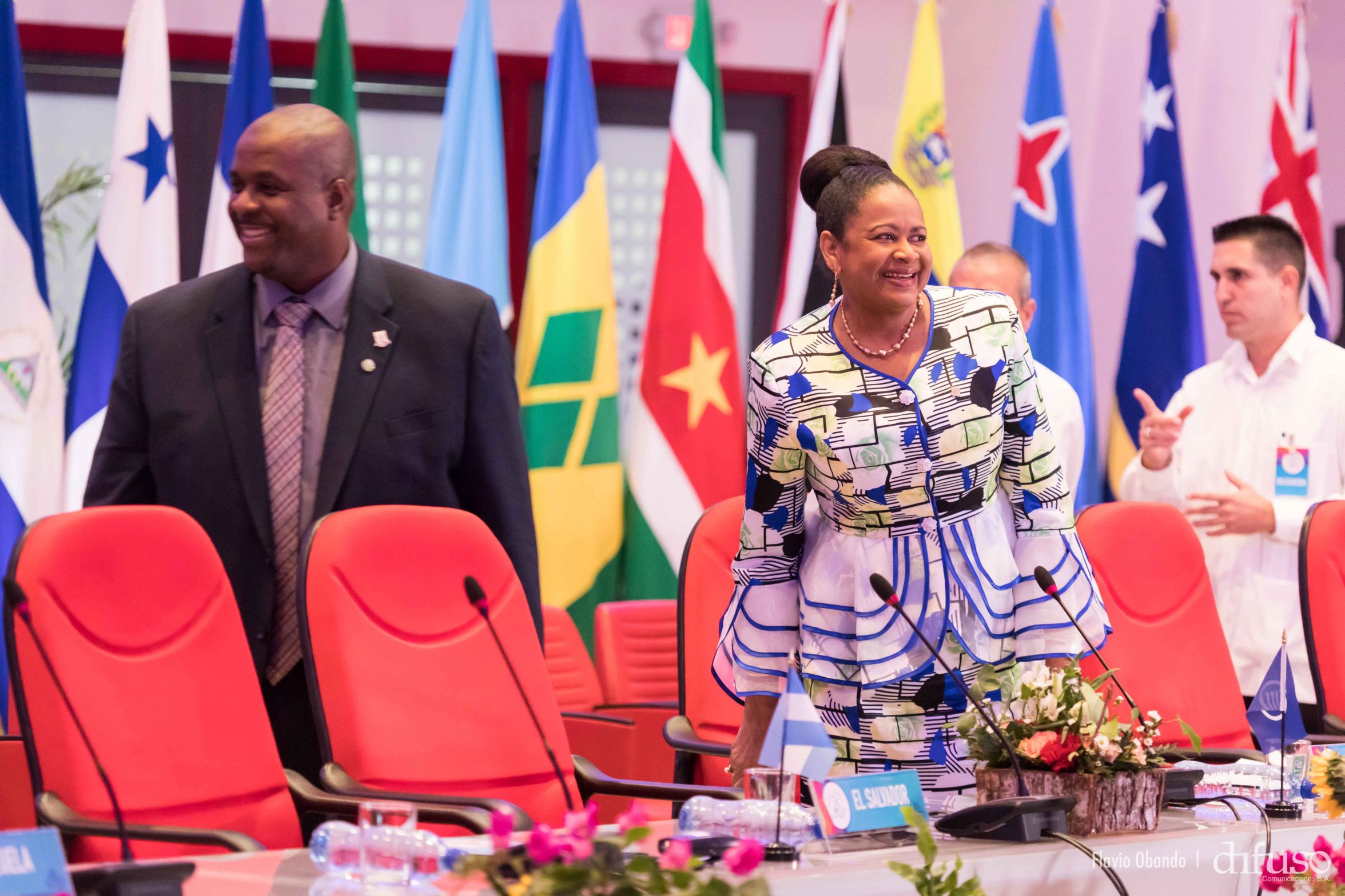 VIII Encuentro de los Jefes y Ministros de la Asociación de Estados del Caribe (AEC)