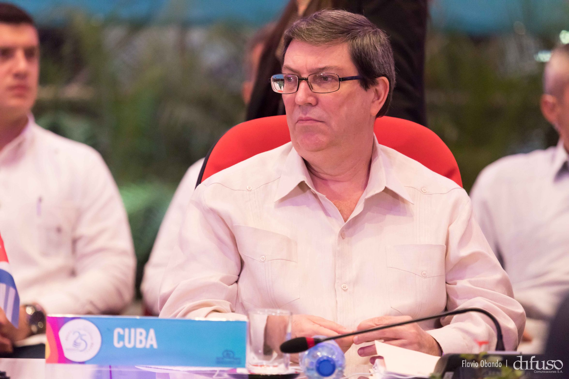 VIII Encuentro de los Jefes y Ministros de la Asociación de Estados del Caribe (AEC)