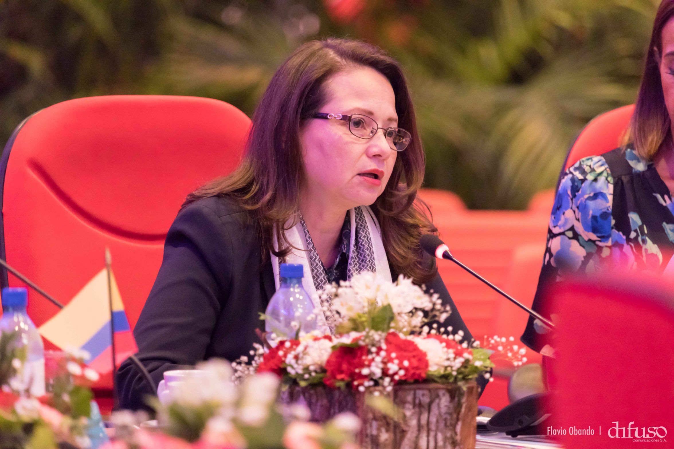 VIII Encuentro de los Jefes y Ministros de la Asociación de Estados del Caribe (AEC)