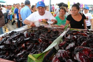 Miles asisten a la celebración de la Purísima Acuática