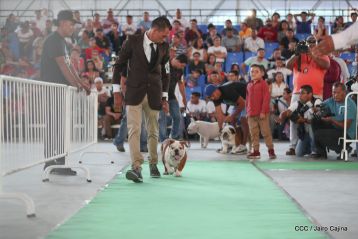 Exposición Canina Internacional de la ABKC en Nicaragua