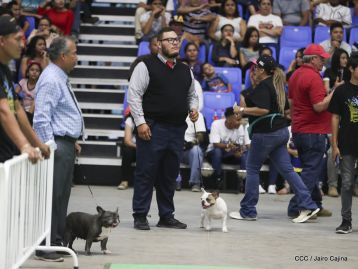 Exposición Canina Internacional de la ABKC en Nicaragua