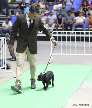 Exposición Canina Internacional de la ABKC en Nicaragua