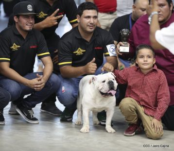 Exposición Canina Internacional de la ABKC en Nicaragua