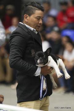 Exposición Canina Internacional de la ABKC en Nicaragua