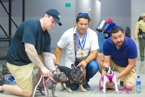 Exposición Canina Internacional de la ABKC en Nicaragua