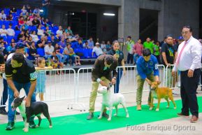 Exposición Canina Internacional de la ABKC en Nicaragua