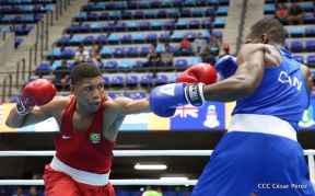 Así se vivió este sábado el Pre-Panamericano de Boxeo