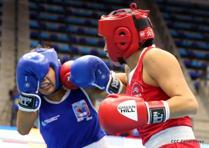Jornada del domingo del Pre-Panamericano de Boxeo