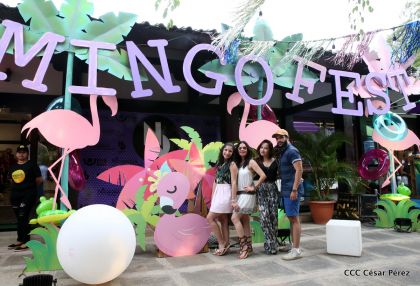 ¡Nos vemos en el Flamingo Fest 2020!