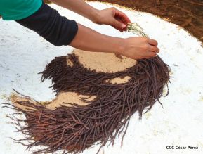 El Viernes Santo en León