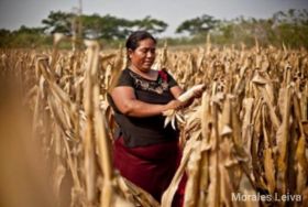 Certamen Nacional de Dibujo, Pintura y Fotografía Amor de Madre
