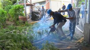 Así se desarrolló el Segundo Ejercicio Nacional de Preparación para la Protección de la Vida