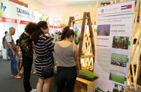 Fin de semana en Expo Taiwán 2019