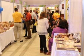 Culmina Expopyme 2019