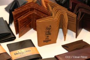 Culmina Expopyme 2019