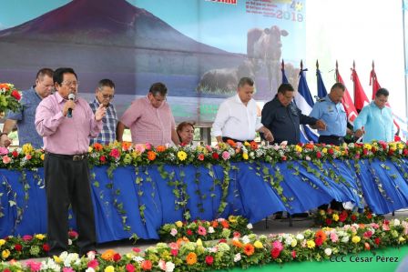 Lanzamiento de la Estrategia Nacional de la Ganadería Bovina