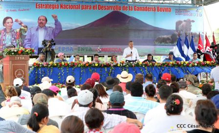 Lanzamiento de la Estrategia Nacional de la Ganadería Bovina