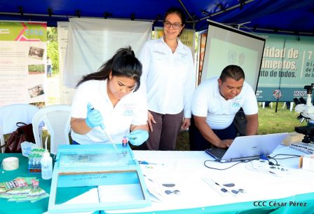 Lanzamiento de la Estrategia Nacional de la Ganadería Bovina