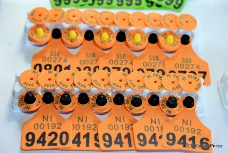 Lanzamiento de la Estrategia Nacional de la Ganadería Bovina