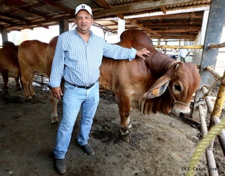 Lanzamiento de la Estrategia Nacional de la Ganadería Bovina