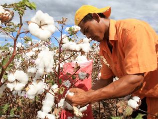7 Años... Y Seguimos Haciendo Patria!