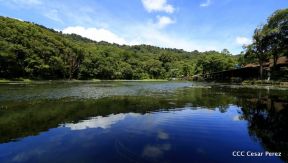 Selva Negra Ecolodge en Matagalpa