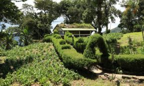 Selva Negra Ecolodge en Matagalpa