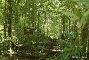Selva Negra Ecolodge en Matagalpa