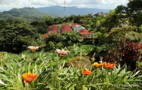 Selva Negra Ecolodge en Matagalpa