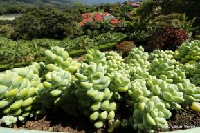 Selva Negra Ecolodge en Matagalpa