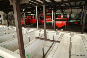 Selva Negra Ecolodge en Matagalpa