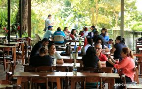 Selva Negra Ecolodge en Matagalpa