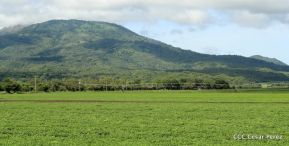 Presentación estrategia nacional de producción de semillas