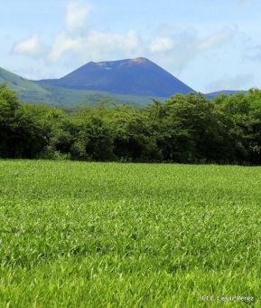 Presentación estrategia nacional de producción de semillas