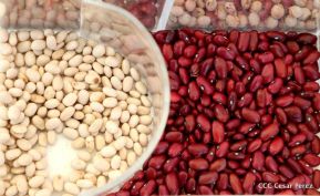 Presentación estrategia nacional de producción de semillas