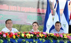 Presentación estrategia nacional de producción de semillas