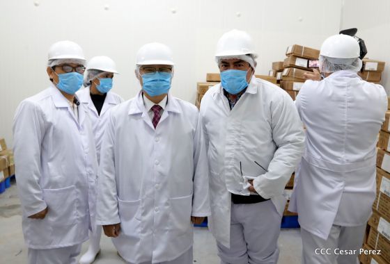 Moderno Matadero del Caribe San Isidro de capital coreano