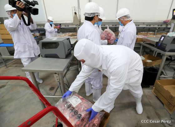 Moderno Matadero del Caribe San Isidro de capital coreano