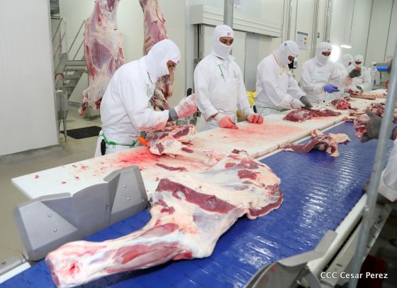 Moderno Matadero del Caribe San Isidro de capital coreano