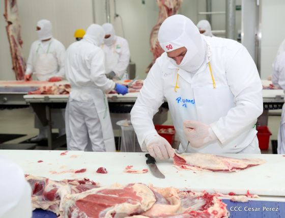 Moderno Matadero del Caribe San Isidro de capital coreano