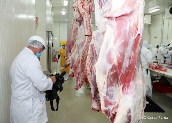 Moderno Matadero del Caribe San Isidro de capital coreano