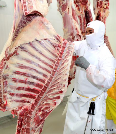 Moderno Matadero del Caribe San Isidro de capital coreano